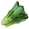 Rau cải ngọt hữu cơ Minafarm