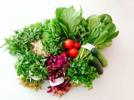 rau sạch và rau hữu cơ